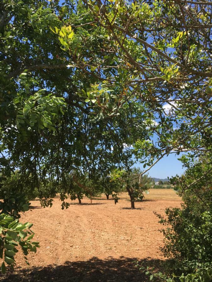 Finca Es Vinyet Villa Поререс Екстериор снимка